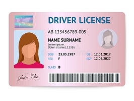 Fake drivers license for sale
