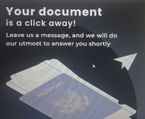 contact All In One Document to get your visa online