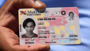 Real Driving License for Sale online